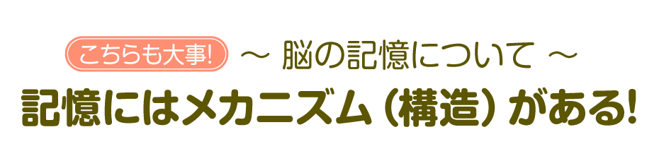 脳の記憶について